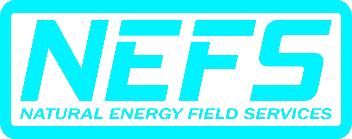 Natural Energy Field Services